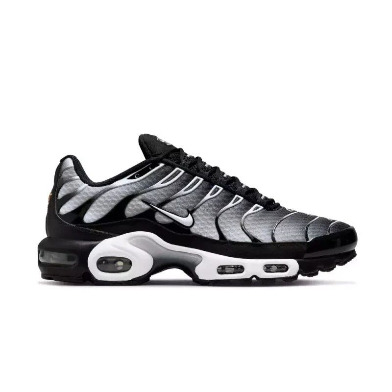 Air Max Plus TN 1 "Black Metallic"